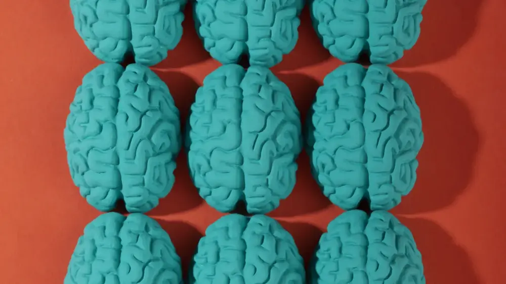 Neurodivergência: mito ou realidade científica?